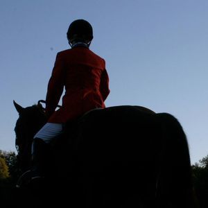 Meet your Posher, Joy